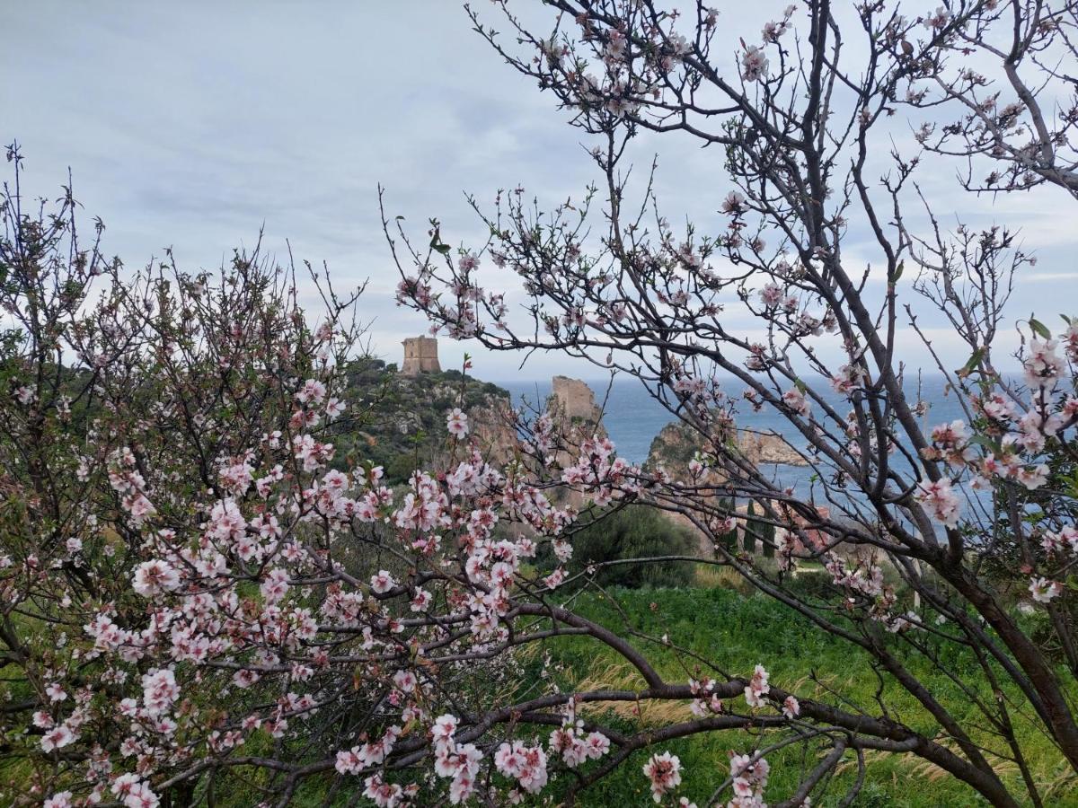 Piccola Baia Βίλα Scopello  Εξωτερικό φωτογραφία